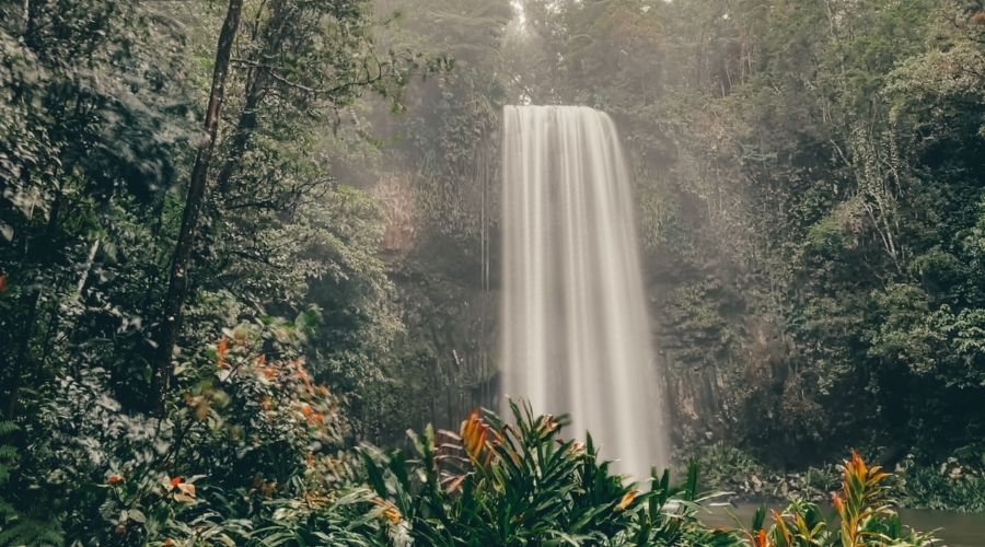 Millaa Millaa falls in Cairns, Queensland