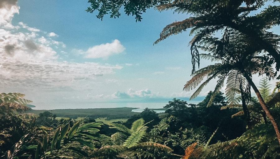 Alexandra lookout in the Daintree, Far North Queensland