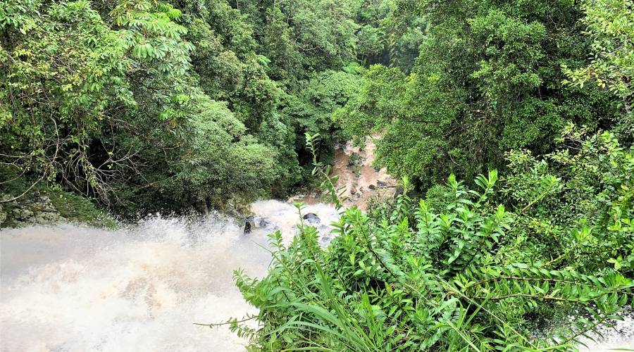 Mungalli Falls near Cairns in the wet season after a heavy rain