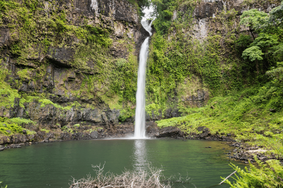 Nandroya Falls, falling down a crack in a mossy cliff face